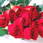 FTD One Dozen Red Roses