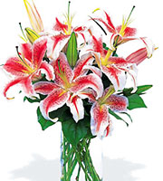 Oriental Lilies Bouquet