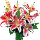 Oriental Lilies Bouquet