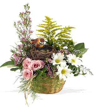 1-800-Florals coupons and deals