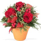 Holiday Rosey Bunch Bouquet
