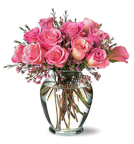 Sweet Treat Dozen Pink Roses