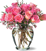 Sweet Treat Dozen Pink Roses