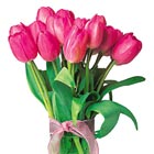 Tulip Cluster Bouquet
