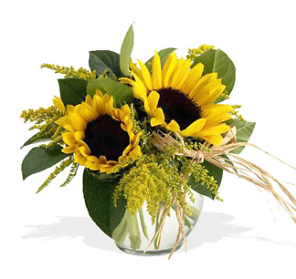 - Sassy Sunflowers