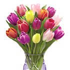 FTD® Spring Tulip Bouquet