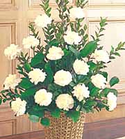 White Carnations Sympathy Tribute