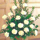 White Carnations Sympathy Tribute