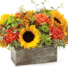 FTD® Garden Gathered Deluxe