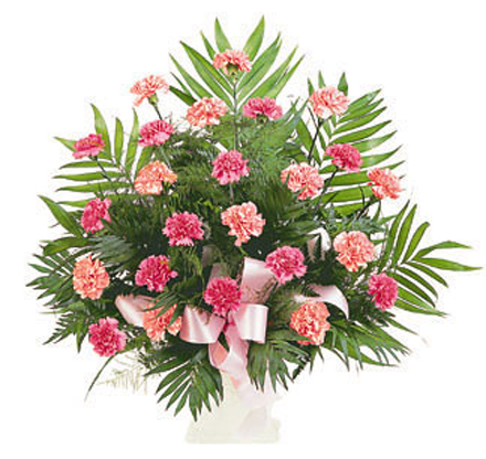 Pink Carnations Tribute