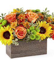 Happy Harvest Garden