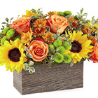 FTD® Happy Harvest Garden Deluxe