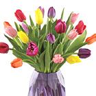 FTDŽ Spring Morning Bouquet Deluxe