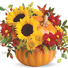 Pretty Pumpkin Bouquet