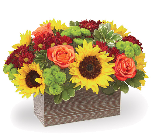 - FTD® Happy Harvest Garden Deluxe