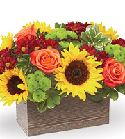 Happy Harvest Garden