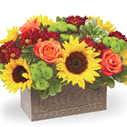 FTD® Happy Harvest Garden Deluxe