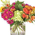 FTD® Crisp and Bright Deluxe