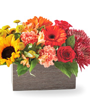 FTD® Autumn Orchard Bouquet Deluxe