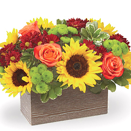 FTD Happy Harvest Garden Deluxe