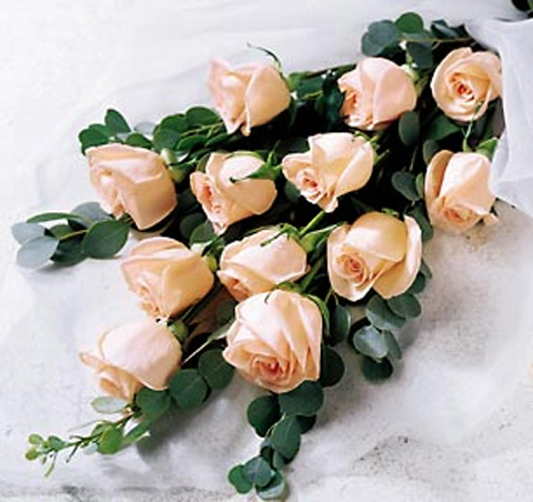 FTD Delightful Dozen Roses