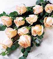 FTD® Delightful Dozen Roses