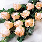 FTD Delightful Dozen Roses