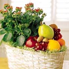 FTDŽ Fruits and Flowers Basket