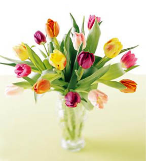 - FTD® Carnival Tulips Bouquet