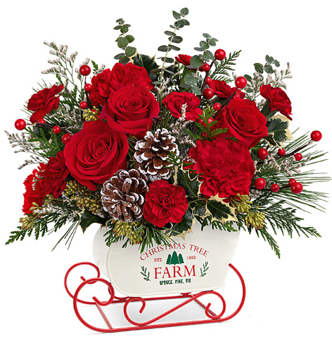 Teleflora Snow What Fun Bouquet Deluxe