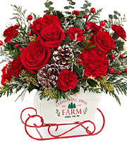 Teleflora Snow What Fun Bouquet Deluxe