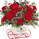 Teleflora Snow What Fun Bouquet Deluxe