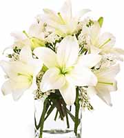 FTD® Lush Lily Bouquet