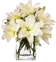 FTD Lush Lily Bouquet