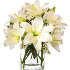 FTD Lush Lily Bouquet