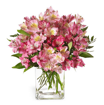 FTD Pink Persuasion Bouquet