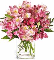 FTD® Pink Persuasion Bouquet