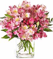 FTD Pink Persuasion Bouquet