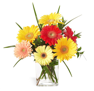 FTD Happiness Bouquet