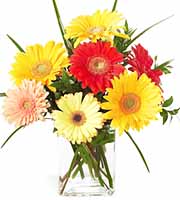 FTD Happiness Bouquet