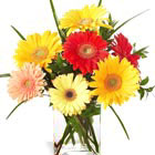 FTD® Happiness Bouquet