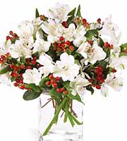 FTD Winter Alstroemeria Bouquet