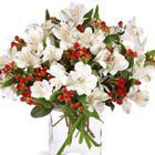 FTD® Winter Alstroemeria Bouquet
