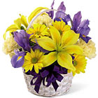 FTDŽ Spirit of Spring Bouquet