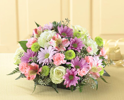 Albuquerque Flower Shops Number Of Chromosomes In Flower Embryo