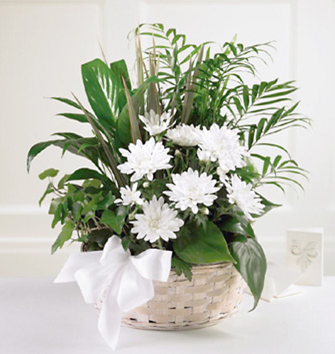 FTD Peaceful Garden Basket