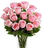 FTD Pink 18 Roses Bouquet