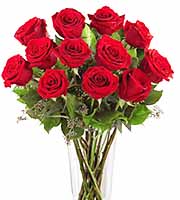 FTD Dozen Red Roses Bouquet