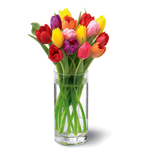 FTD Bright Lights Tulips