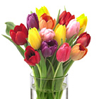 FTD® Bright Lights Tulips